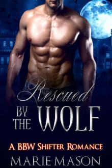 Rescued by the Wolf (A BBW Shifter Romance) Read online