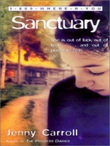 Sanctuary 1-4 Read online
