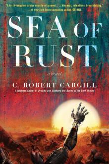 Sea of Rust Read online