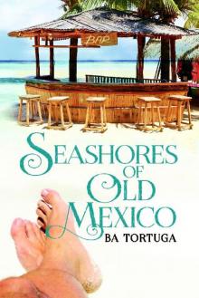 Seashores of Old Mexico Read online