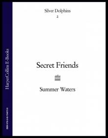 Secret Friends Read online