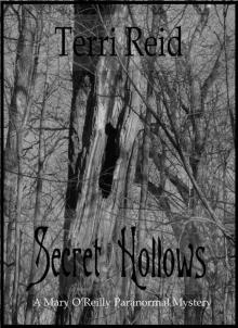 Secret Hollows - A Mary O'Reilly Paranormal Mystery (Book 7) Read online