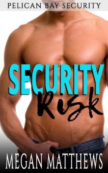 Security Risk Read online