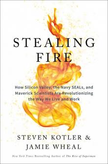 Stealing Fire Read online