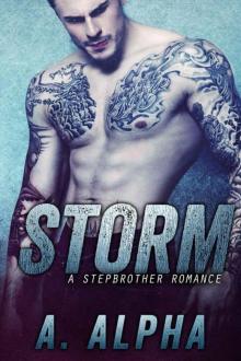 Storm: A Stepbrother Romance