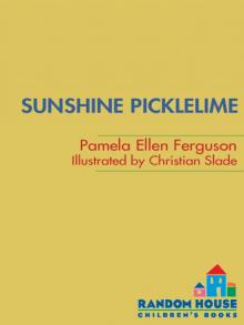 Sunshine Picklelime