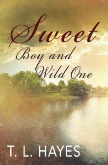 Sweet Boy and Wild One Read online