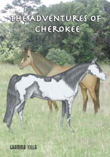 The Adventures of Cherokee