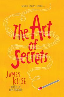 The Art of Secrets