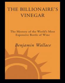 The Billionaire's Vinegar Read online