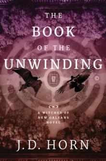 The Book of the Unwinding Read online
