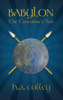 The Concubine's Son Read online