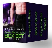 The Cyber Seductions Box Set Books 1-3 (Sci-fi/Futuristic Romance)