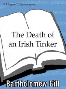 The Death of an Irish Tinker Read online