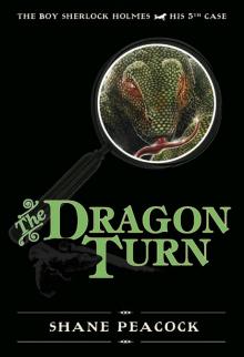 The Dragon Turn Read online
