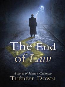 The End of Law Read online