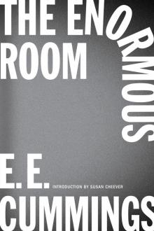 The Enormous Room Read online
