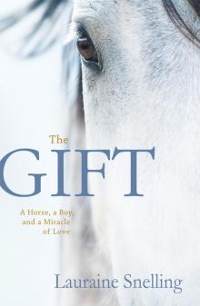 The Gift: A Horse, a Boy, and a Miracle of Love Read online
