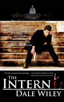 The Intern: Chasing Murderers, Hookers, and Senators Across DC Wasn't In The Job Description