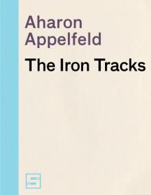 The Iron Tracks Read online