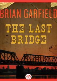 The Last Bridge Read online