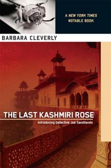 The Last Kashmiri Rose Read online