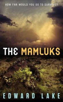 The Mamluks (The Mamluks Saga: Episode 1) Read online