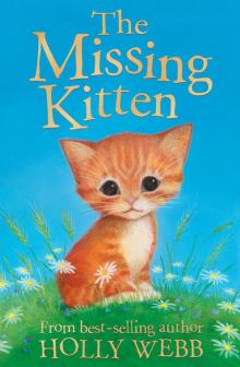 The Missing Kitten Read online