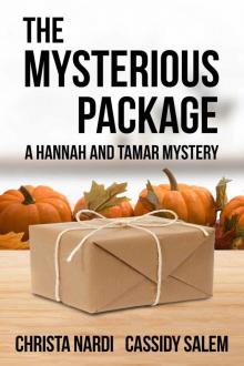 The Mysterious Package (A Hannah and Tamar Mystery Book 1)