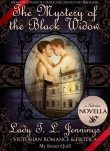 The Mystery of the Black Widow ~ A Gay Victorian Romance and Erotic Novella Read online