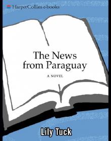 The News from Paraguay Read online