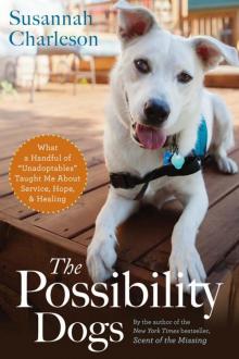 The Possibility Dogs Read online