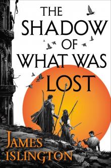 The Shadow of What Was Lost Read online