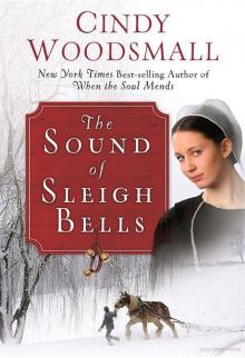 The Sound of Sleigh Bells Read online
