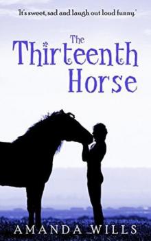 The Thirteenth Horse Read online