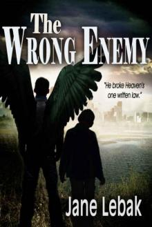 The Wrong Enemy Read online