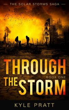 Through the Storm (The Solar Storms Saga Book 1) Read online