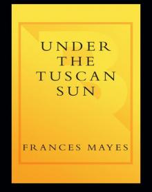 Under the Tuscan Sun Read online