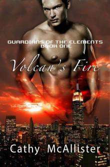 Volcan's Fire (Guardians of The Elements #1) Read online