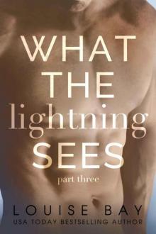 What the Lightning Sees: Part Three Read online