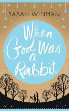 When God Was a Rabbit Read online