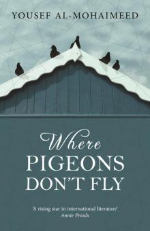 Where Pigeons Don't Fly Read online