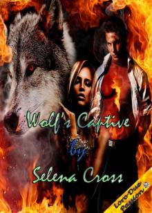 Wolf's Captive Read online
