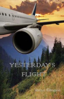 Yesterday's Flight Read online