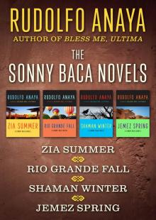 Zia Summer, Rio Grande Fall, Shaman Winter, and Jemez Spring