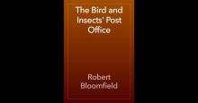 Bird and Insects' Post Office Read online