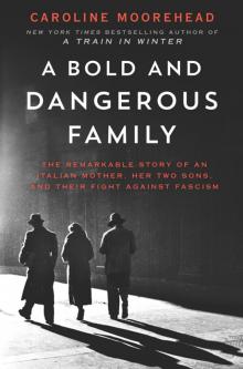 A Bold and Dangerous Family Read online