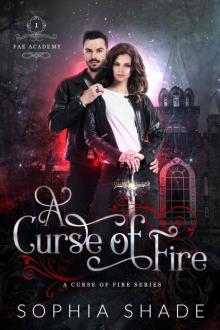 A Curse of Fire (Fae Academy Book 1) Read online