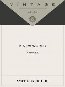 A New World: A Novel (Vintage International)