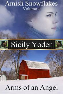 Amish Snowflakes: Volume Four: Arms of an Angel Read online